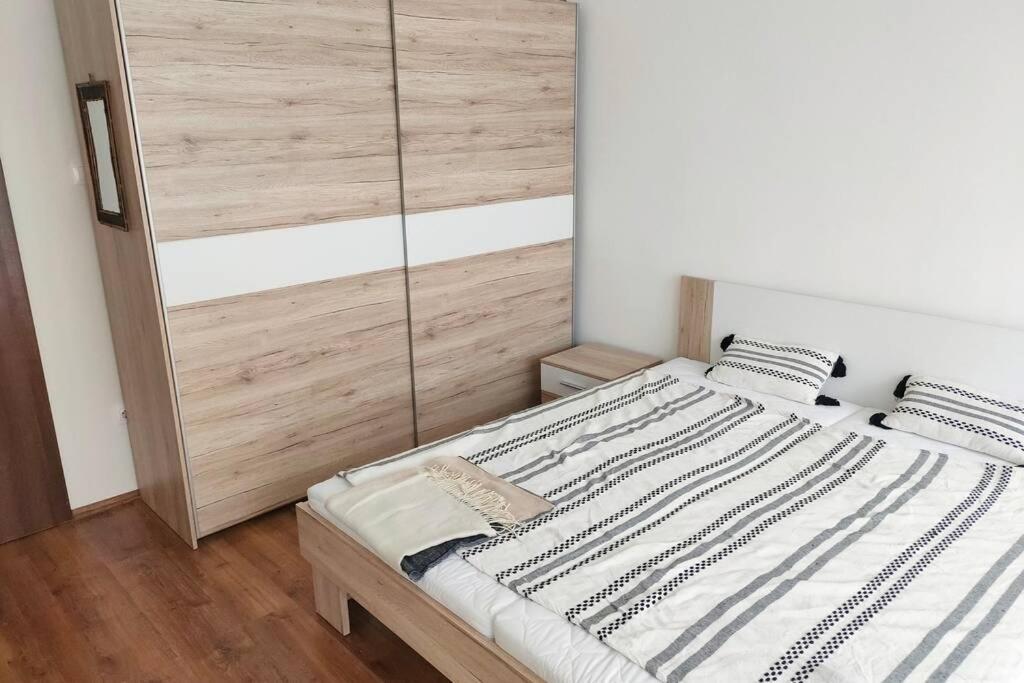 Plaza Apartman - City Center, Free Parking, Free Wifi Debreczyn Zewnętrze zdjęcie